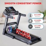 PowerMax Fitness TDM-96 Foldable Treadmill